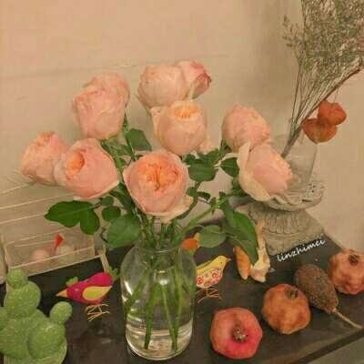 博王体育娱乐下载APP/手机APP下载最新版